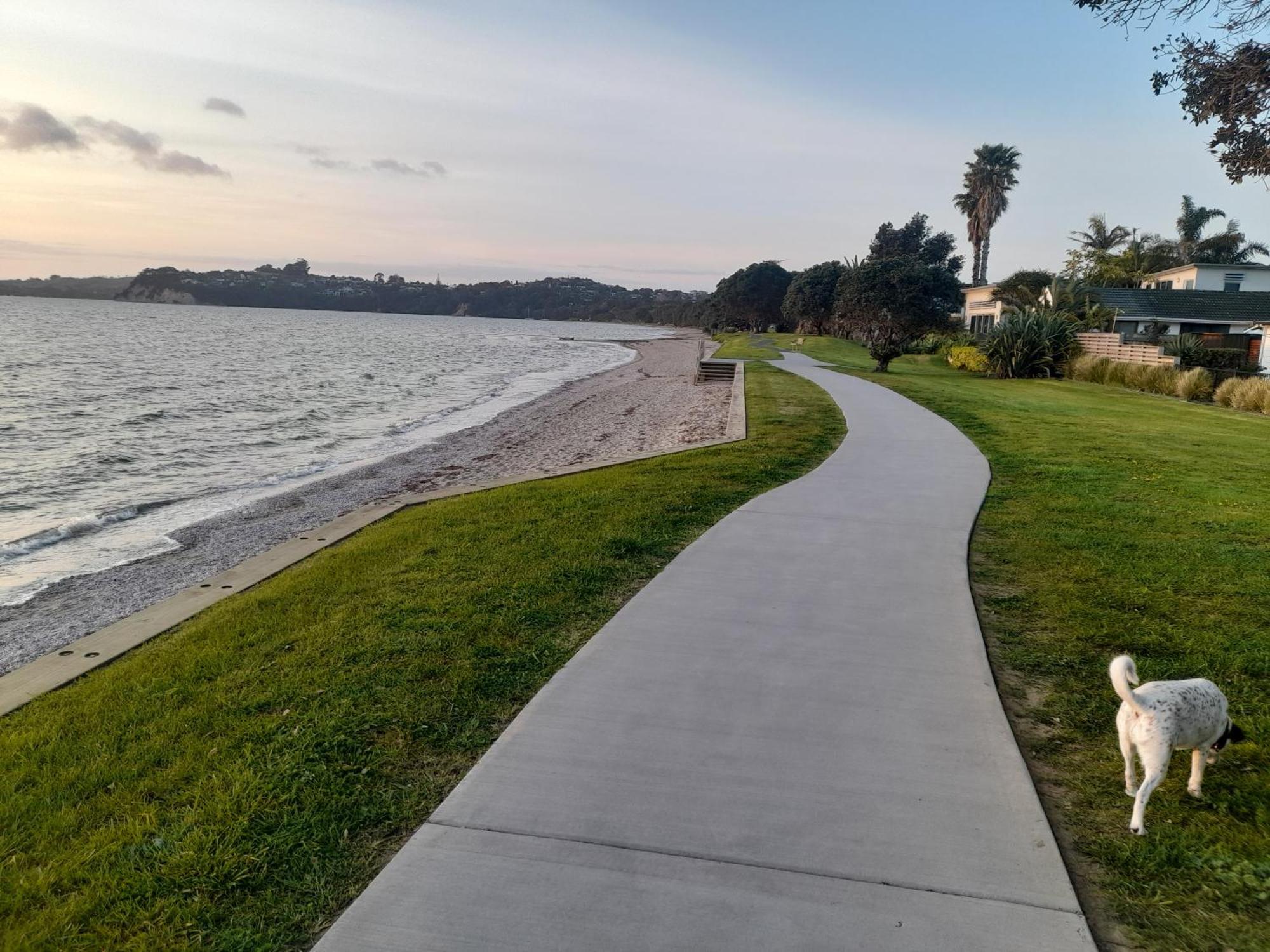 ホテル Kawau View Studio Snells Beach エクステリア 写真